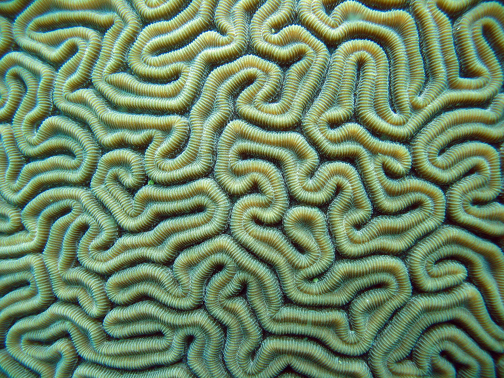 In the photo: the city of Portobelo in Panama