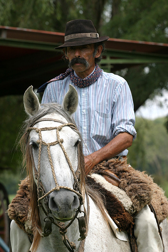 in photo: Argentine gaucho