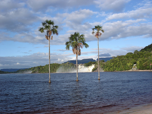 In the photo: an island in Venezuela