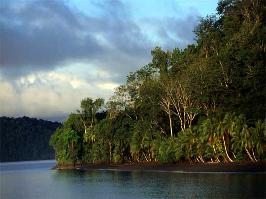 in the photo: eco tours to   Peninsula Osa  in Costa Rica