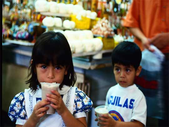 In the photo: the city of Guadalajara in Mexico