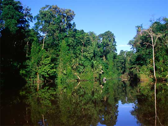In the photo: Lemon Beach in Costa Rica on the Caribbean Sea