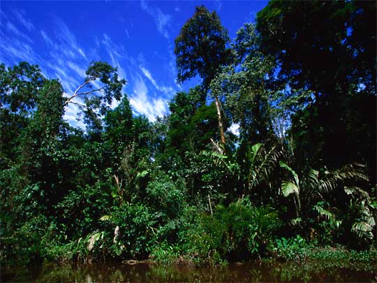 In the photo: Lemon Beach in Costa Rica on the Caribbean Sea