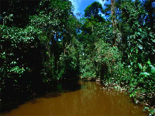 in the photo: San José,the capital of Costa Rica 