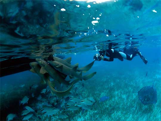 in photo: the island of Ambergris Caye, Belize