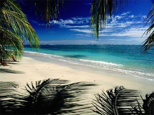In the photo: Lemon Beach in Costa Rica on the Caribbean Sea