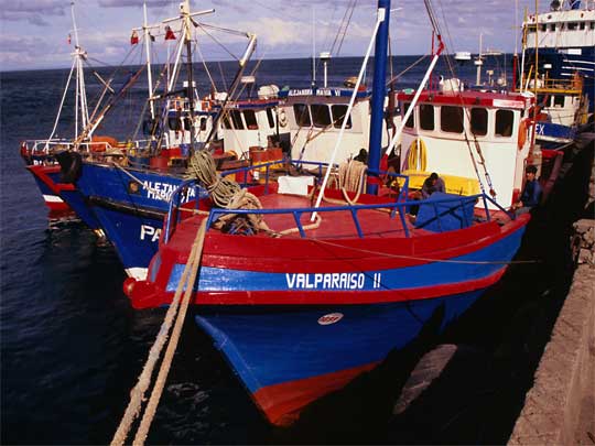 in the photo:  Punta Arenas in Chile (Patagonia)