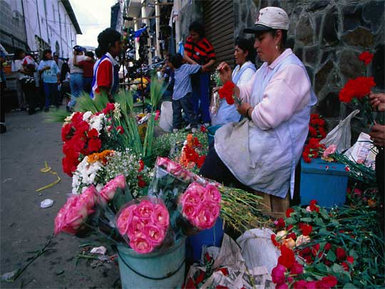 in the photo:  Quito, Ecuador's capital 