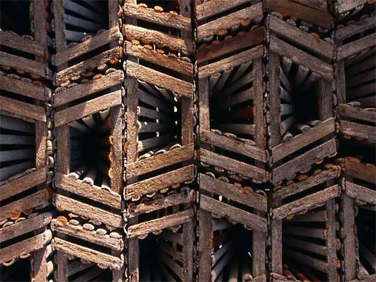 in photo: Caye Caulker island in Belize 