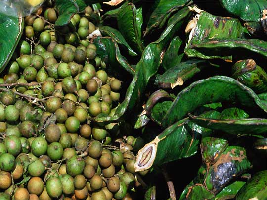 in the photo: Bogota City, the capital of Colombia