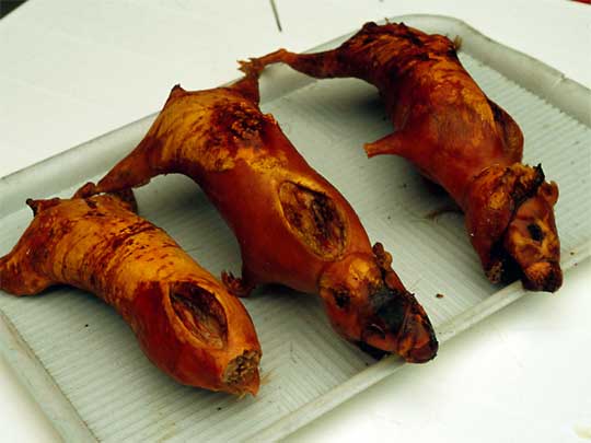 in the photo: national dish in Colombia