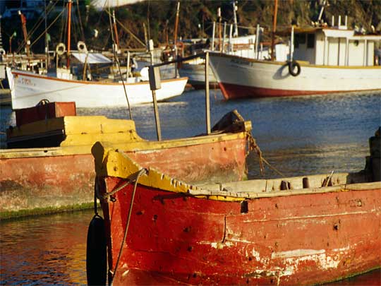 in the photo: resort of Santa Marta in Colombia