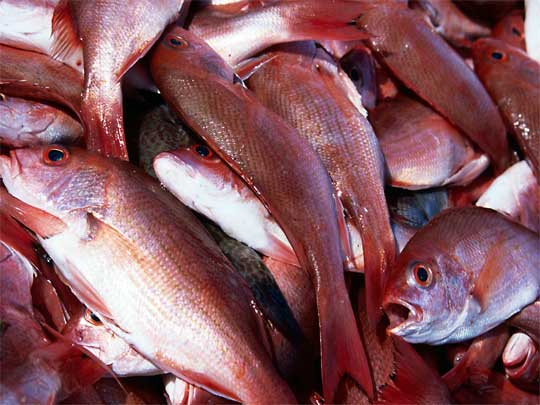 In the photo: beach resort San Juan del Sur in Nicaragua