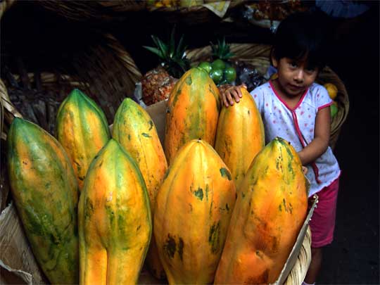In the photo: the city of Granada in Nicaragua