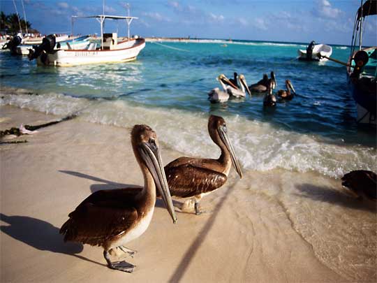 In the photo: Cancun resort in Mexico