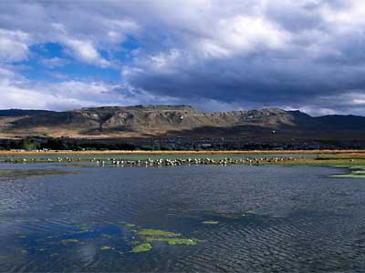 in photo:  Patagonia (El Calafate) in Argentina 