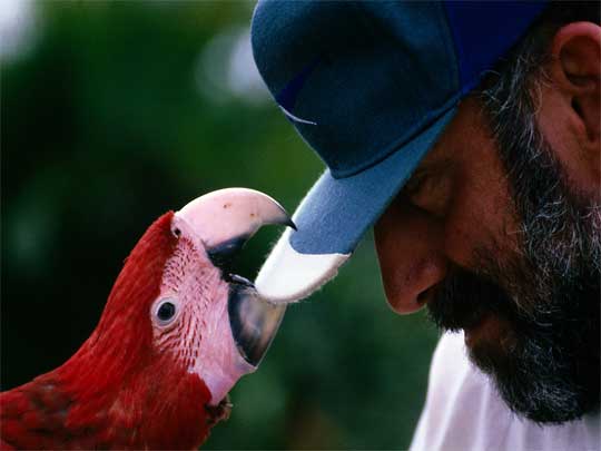in the photo: San José,the capital of Costa Rica 
