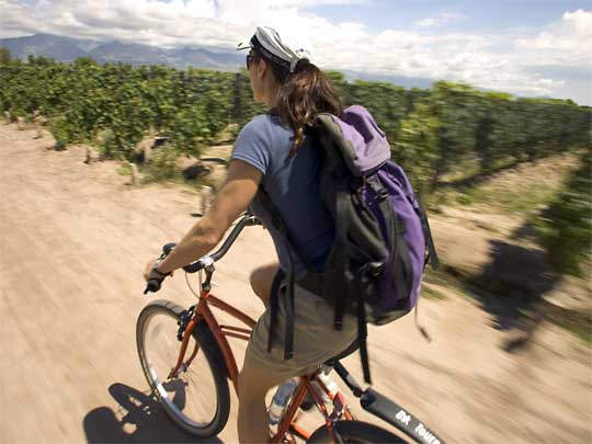 in photo: wine region and city of Mendoza in Argentina 
