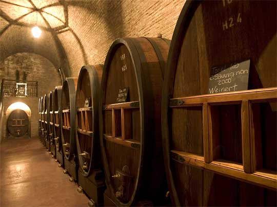 in photo: wine region and city of Mendoza in Argentina 