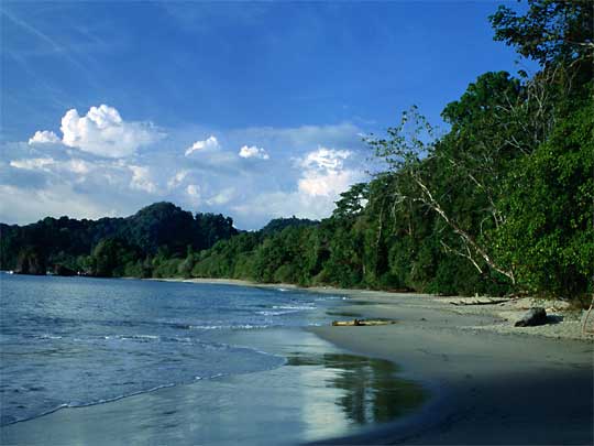 in the picture: Puerto Viejo de Talamanca in Costa Rica