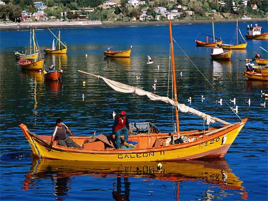 in the photo: Valdivia in Chile