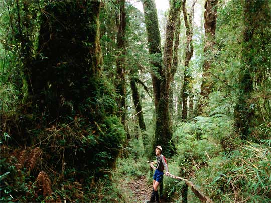 in the photo: Valdivia in Chile