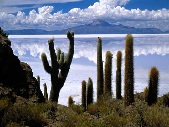 in photo:  Uyuni Salt Flats 