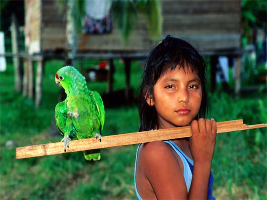 In the photo: Bocas del Toro Archipelago in Panama