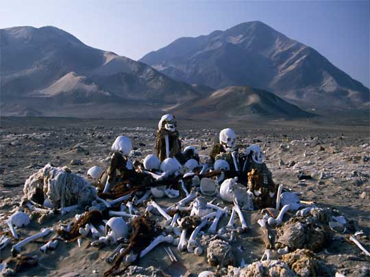 In the photo: the lines of the Nazca Desert in Peru