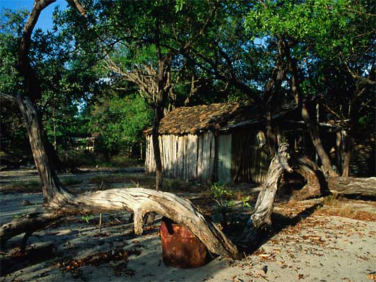 in the photo: Playa Tamarindo Beach in Costa Rica