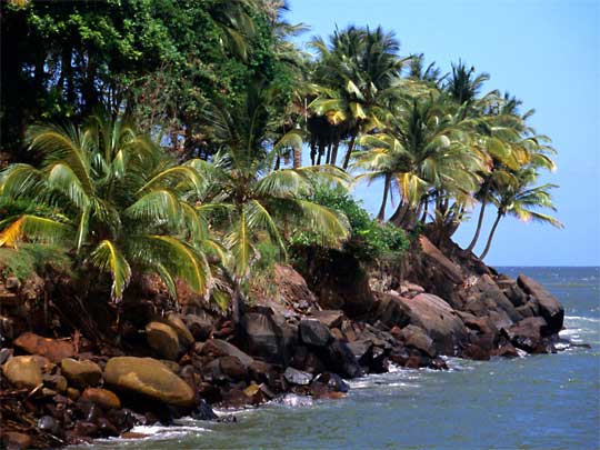 In the photo: a beach holiday on an island in French Guyana
