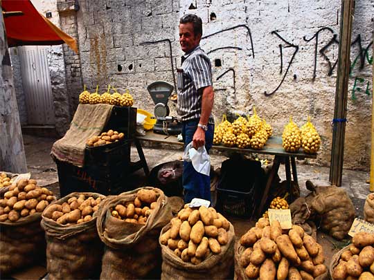 in photo: the city of São Paulo in Brazil 