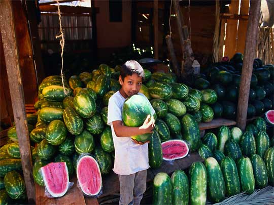 In the photo: Oaxaca City market in Mexico