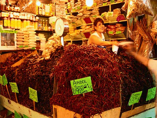 In the photo: the city of Guadalajara in Mexico