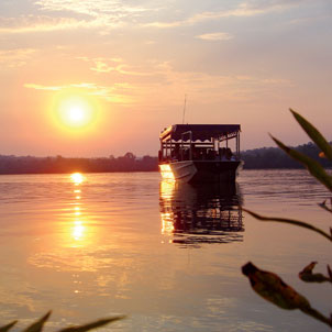 in photo: Curitiba, Brazil