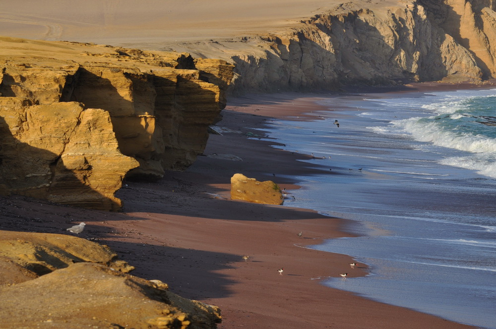 in the photo: Paracas Peninsula in Peru 