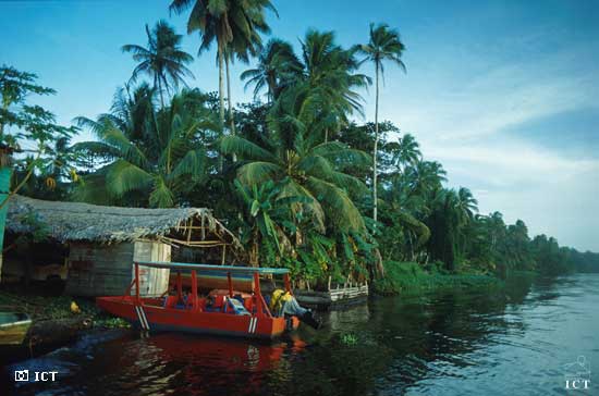 In the photo: Tortuguero Canals (National Park) in Costa Rica