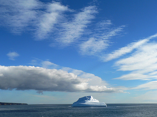 In the photo: icebergs in Antarctica