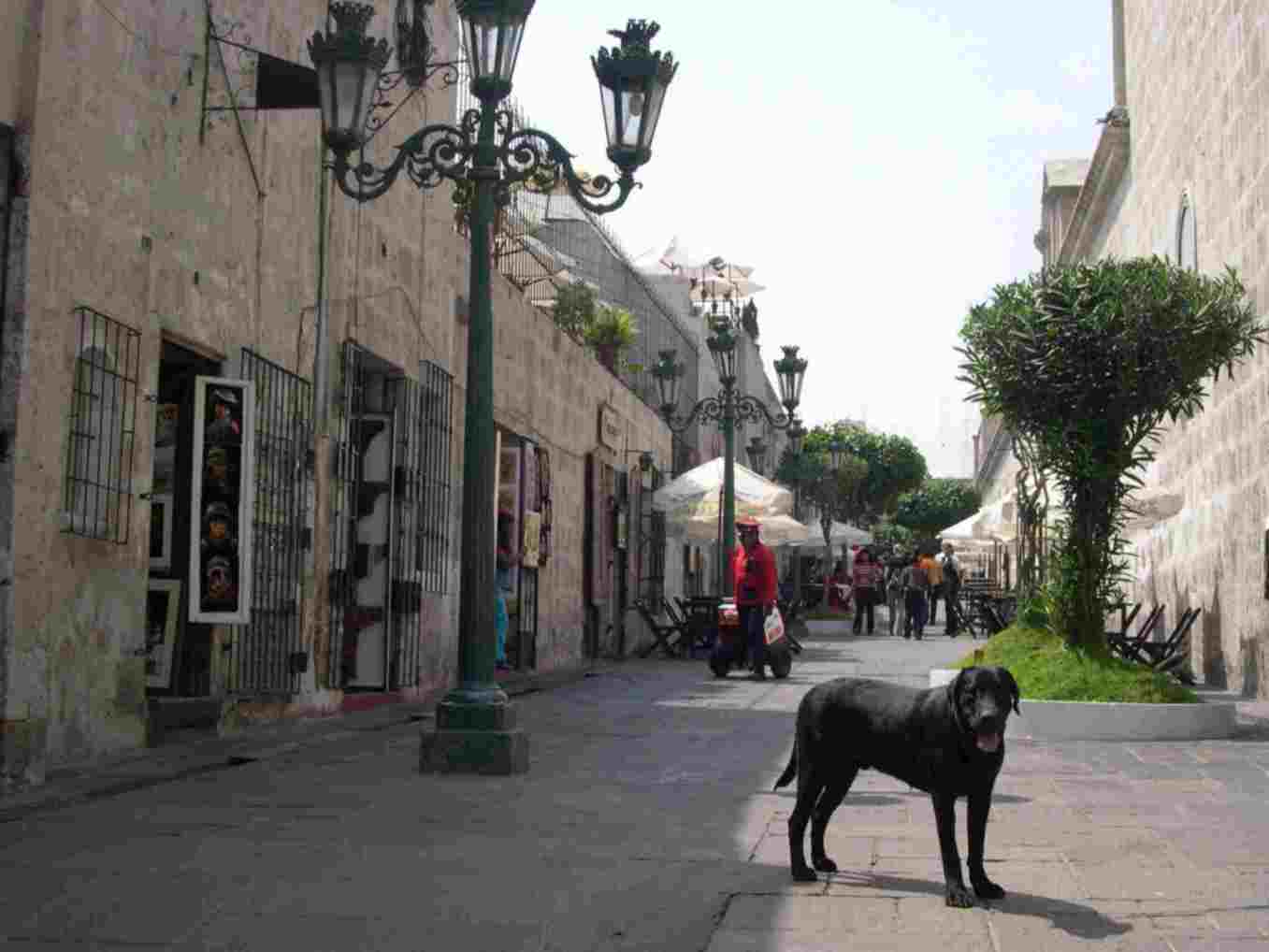 In the photo: the city of Arequipa in Peru