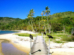 in photo: Beach resort in Brazil