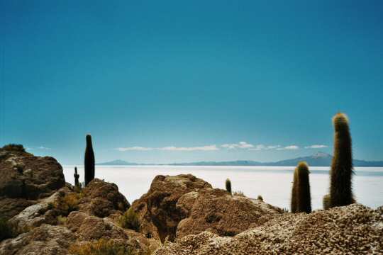 in photo: Salar de Uyuni in Bolivia 