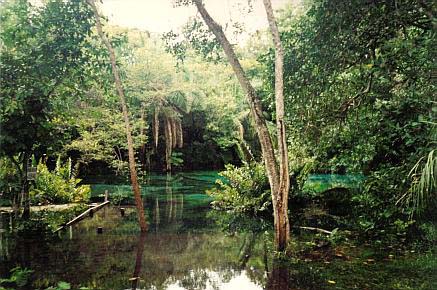 in photo: Rafting and tubing in Bonito,Brazil