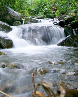 In the photo: the mountain resort of Boquete in Panama.