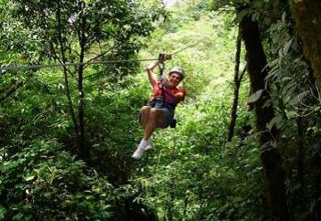 In the photo: zip line, canopi tour in the Monteverde cloud forests in Costa Rica