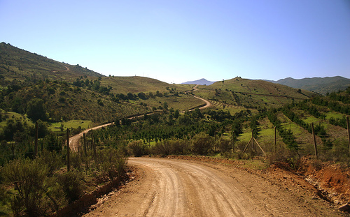 In the photo: vineyards and wineries  in Chile