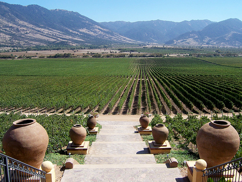 In the photo: wine valleys in Chile