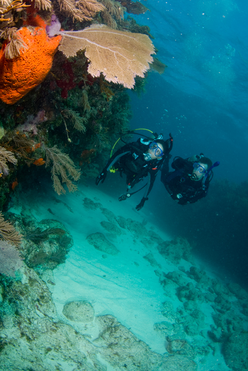 in photo: sea resort, island of  Ilha Grande,Brazil 