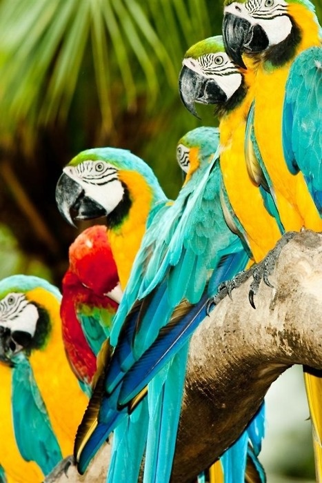 In the photo: the capital of Nicaragua. Managua city