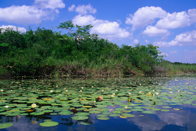 in photo: Orange Walk, Belize