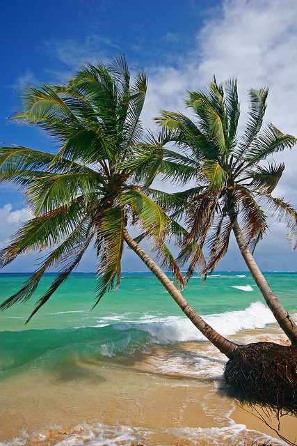 In the photo: Nicaragua's Corn Island 